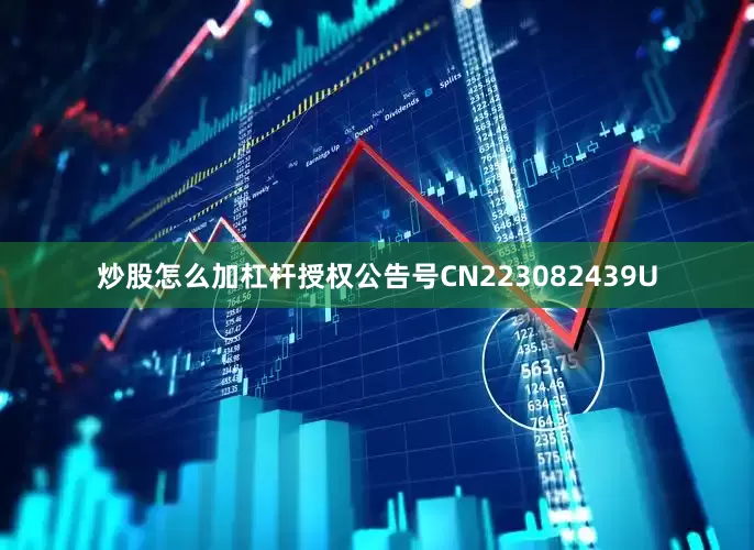 炒股怎么加杠杆授权公告号CN223082439U